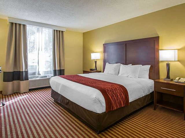 Comfort-Inn-maingate_king-suite